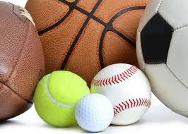 伦敦奥运马术双骄伴随爱马同日辞世 相互扶持逾二十载共谱辉煌传奇